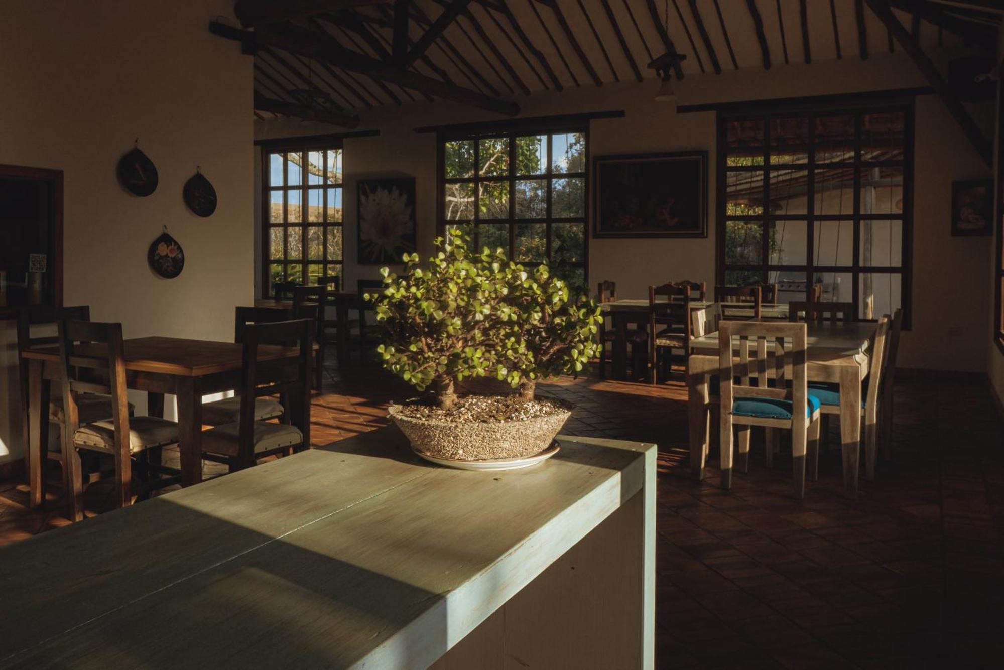 Hotel Finca Buenos Aires バリチャラ エクステリア 写真